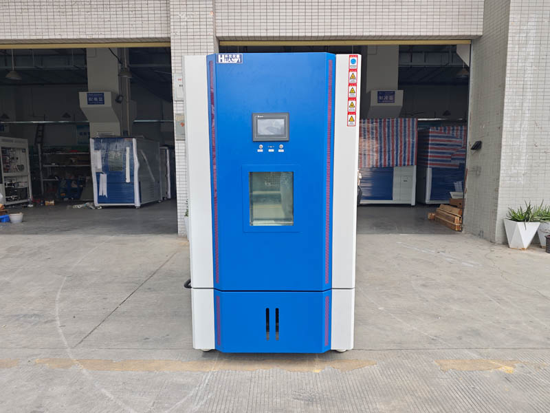 IMG_20251110_122232.jpg IMG_20251110_122232.jpg